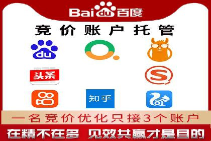 行业领先企业的SEM优化之路