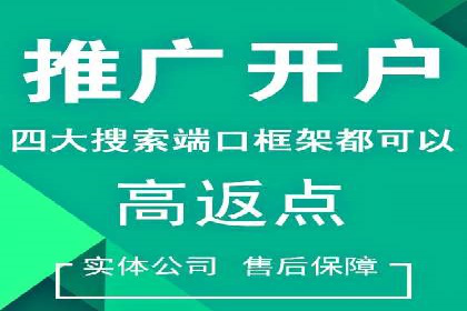 百度竞价托管公司案例：揭秘高效广告投放策略
